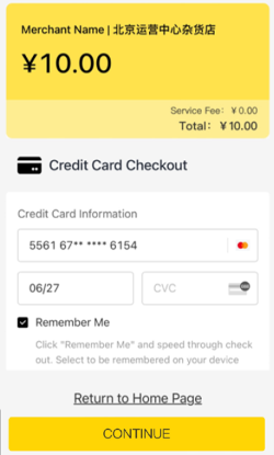 Payment UI 3 - Credit Card Info